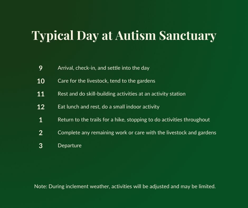 Typical Day at Autism Sanctuary (1)